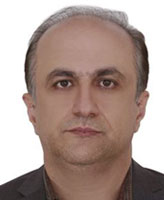 Prof. Dr Reza Shafei